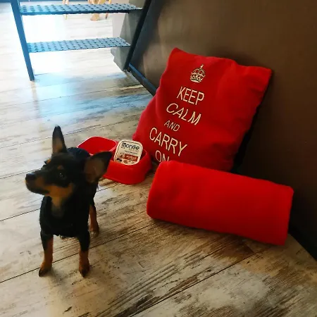 La Petite Maison De Claire Apartment Cuneo