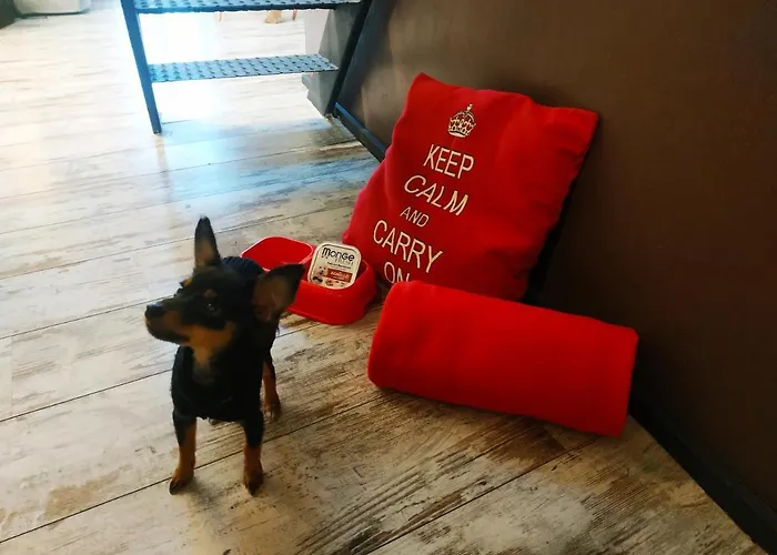 La Petite Maison De Claire Appartamento Cuneo