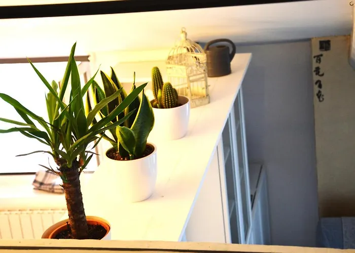 La Petite Maison De Claire Appartamento Cuneo